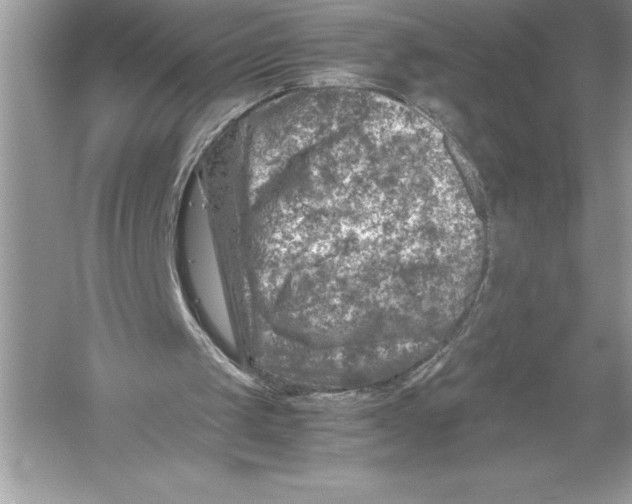 X0000051870049200507221934