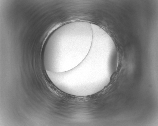 X0000051870050200507221934