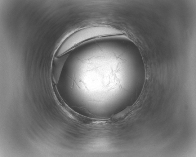 X0000051870052200507221934