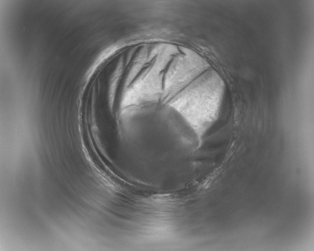 X0000051870054200507221934