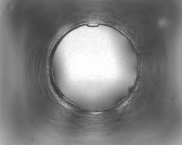 X0000051870055200507221934