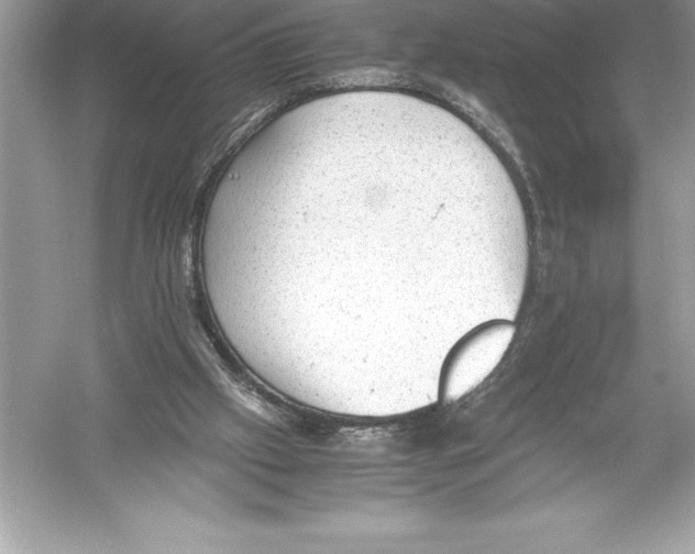 X0000051870057200507221934