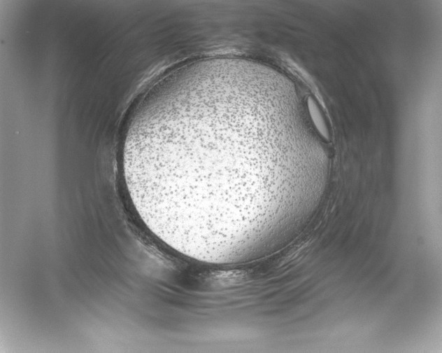 X0000051870059200507221934