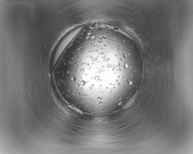 X0000051870060200507221934