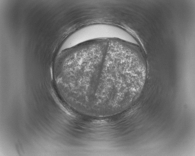 X0000051870061200507221934