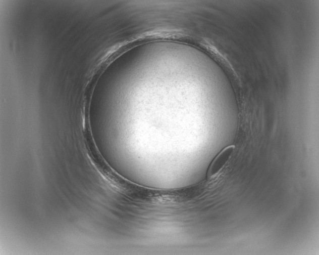 X0000051870062200507221934