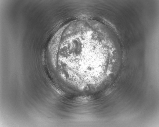 X0000051870065200507221934