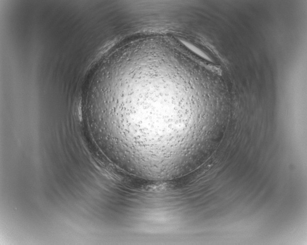 X0000051870068200507221934