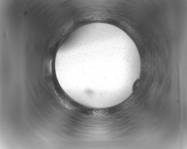 X0000051870070200507221934