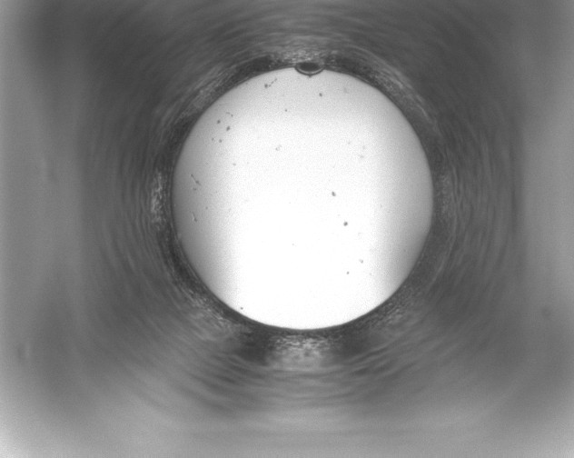 X0000051870073200507221934