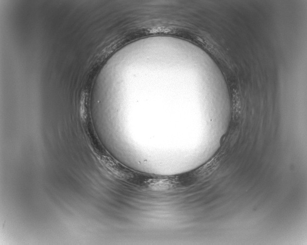 X0000051870074200507221934