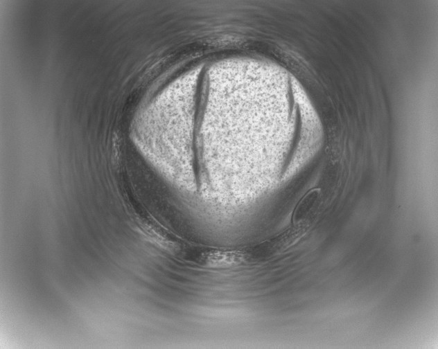 X0000051870077200507221934