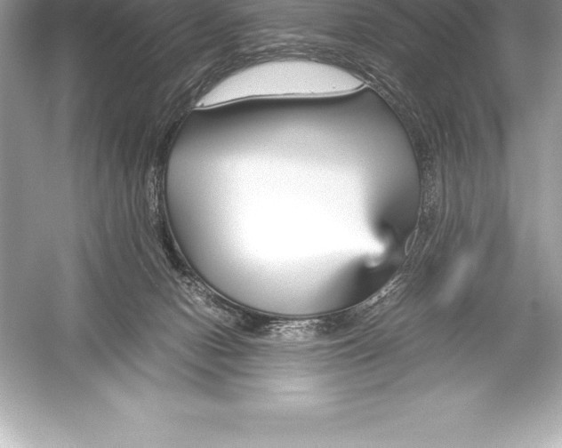 X0000051870078200507221934