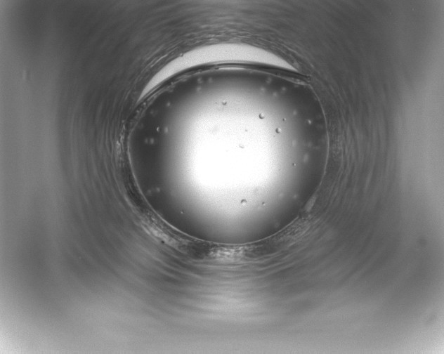 X0000051870084200507221934