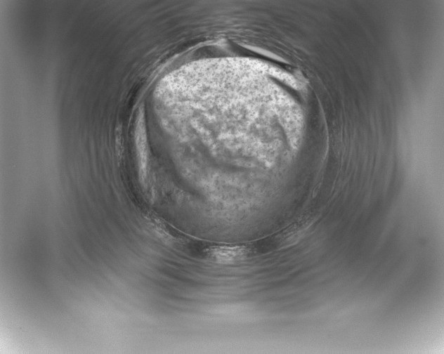 X0000051870085200507221934
