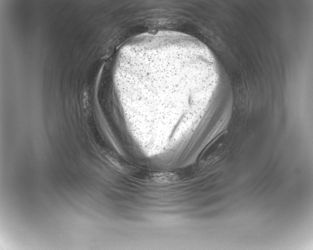 X0000051870087200507221934