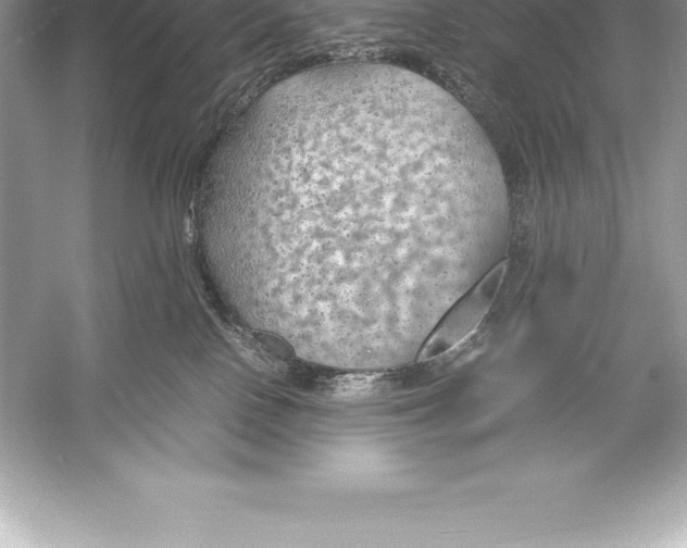 X0000051870090200507221935