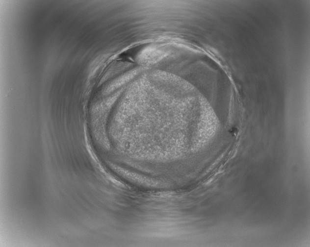 X0000051870097200507221934