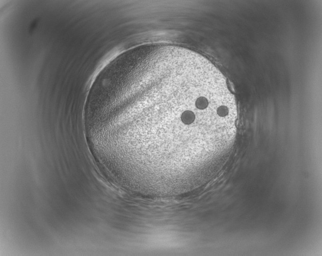 X0000051870099200507221934