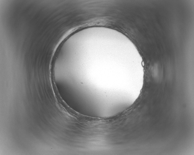X0000051870100200507221934