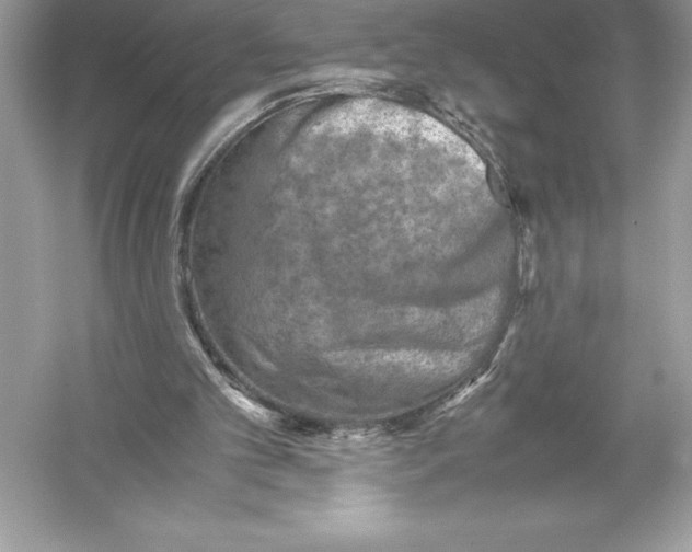 X0000051870101200507221934