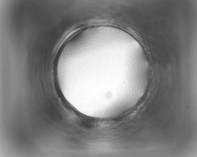 X0000051870103200507221934