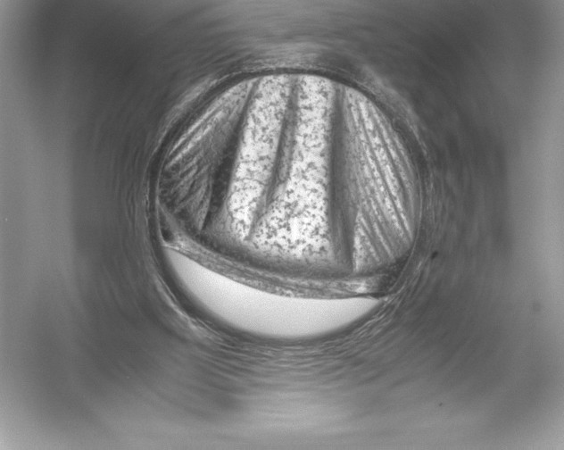 X0000051870107200507221934