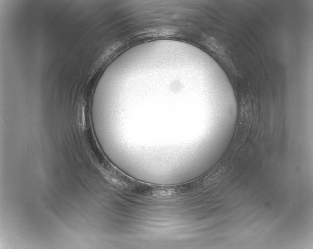 X0000051870110200507221934