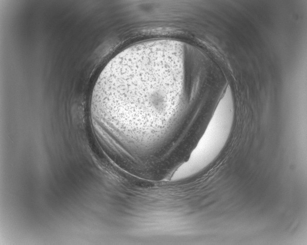 X0000051870111200507221934