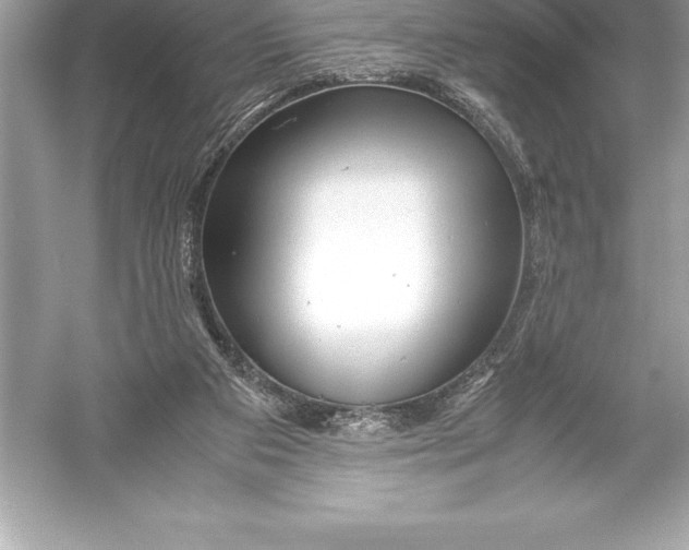 X0000051870113200507221934