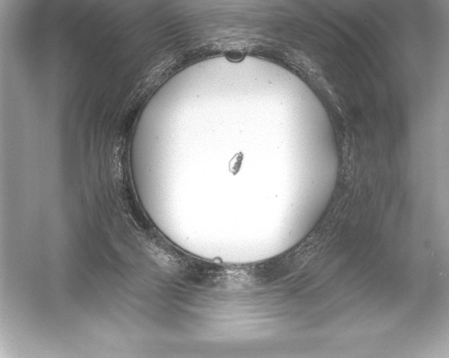 X0000051870114200507221934