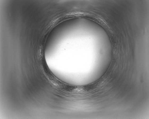 X0000051870119200507221933
