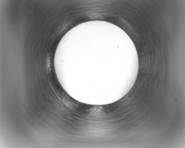 X0000051870124200507221933