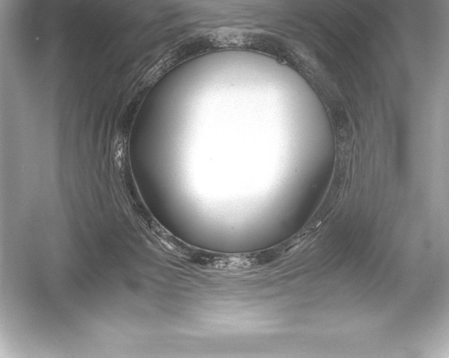 X0000051870125200507221933
