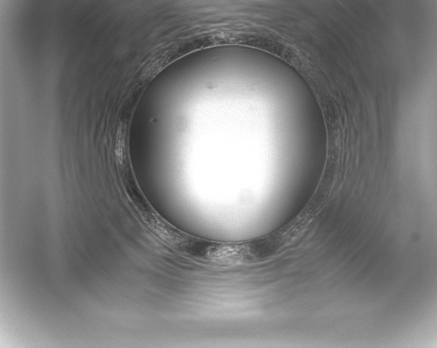 X0000051870129200507221933