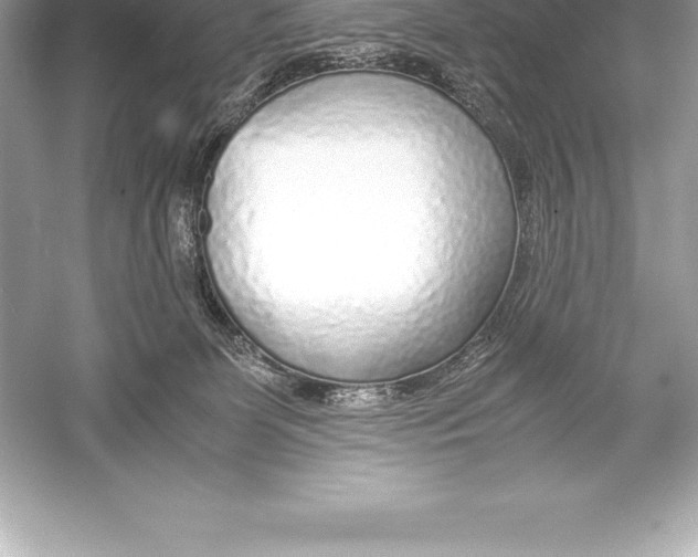 X0000051870131200507221933