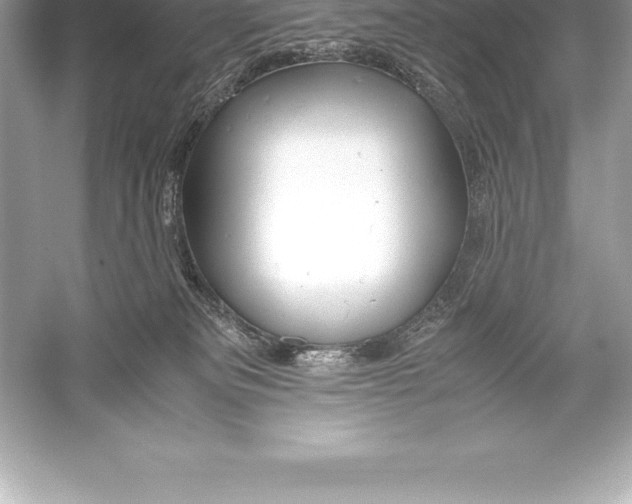 X0000051870133200507221933