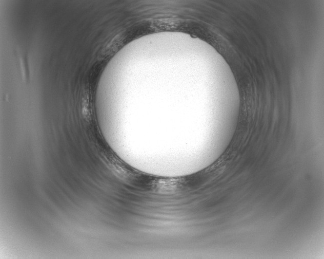 X0000051870134200507221933