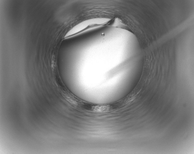 X0000051870135200507221933