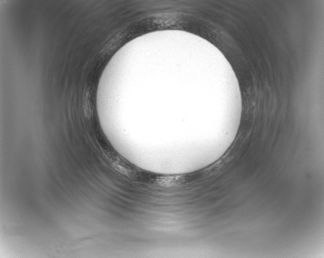 X0000051870136200507221933