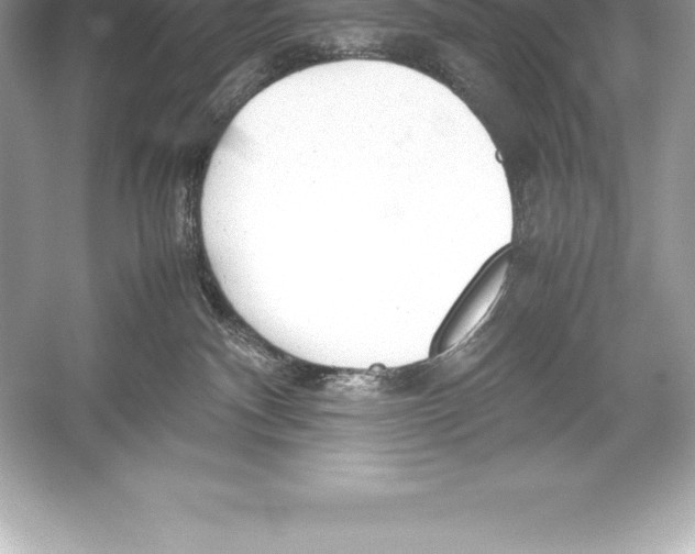 X0000051870140200507221933