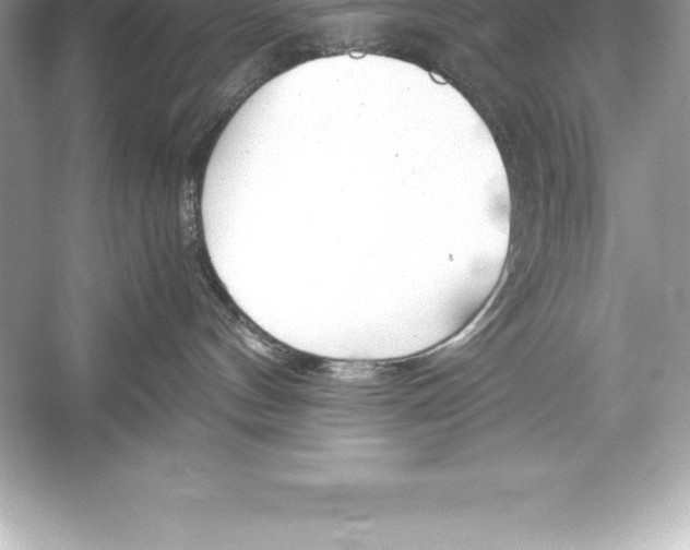 X0000051870144200507221933