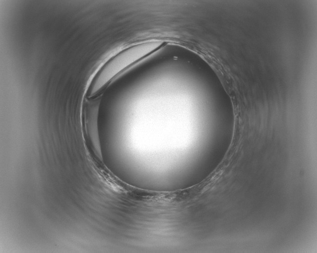 X0000051870148200507221932