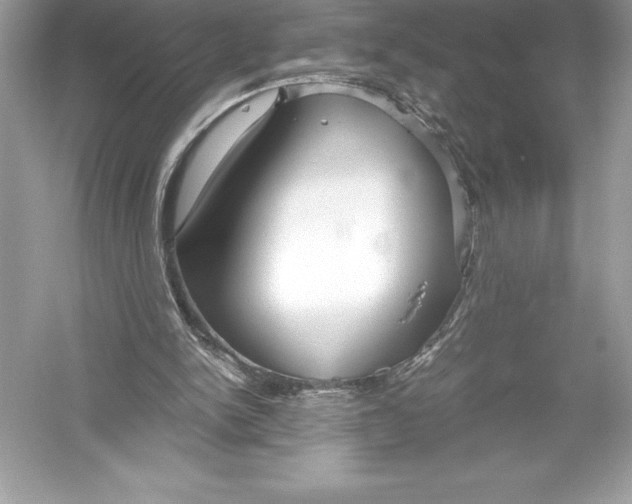 X0000051870150200507221932