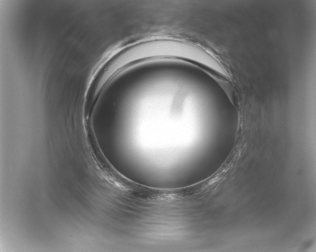 X0000051870152200507221932