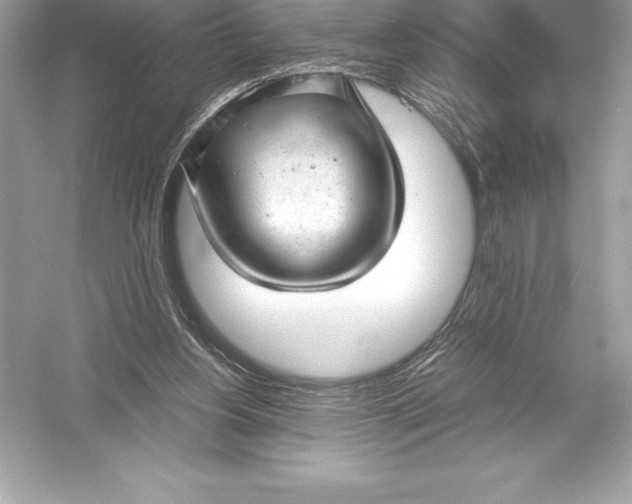 X0000051870156200507221932