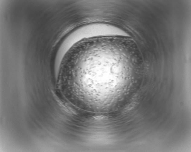 X0000051870158200507221932