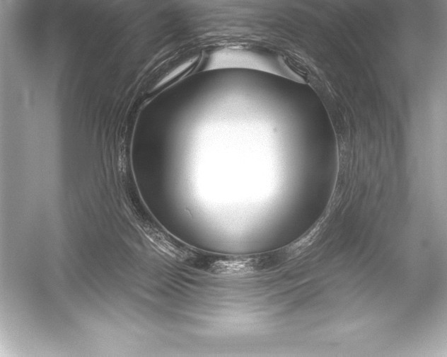 X0000051870170200507221933