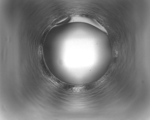 X0000051870172200507221933