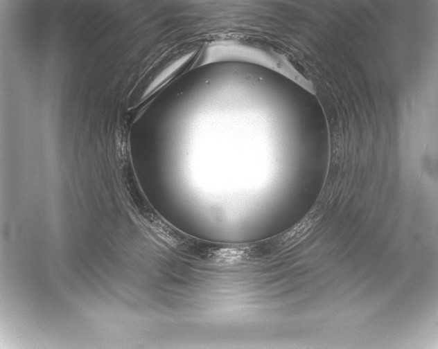 X0000051870176200507221933